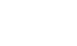 Visex